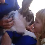 Chulilla *