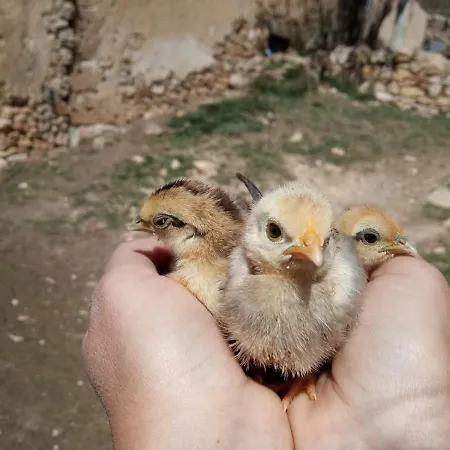 Chulilla Séjour à la campagne