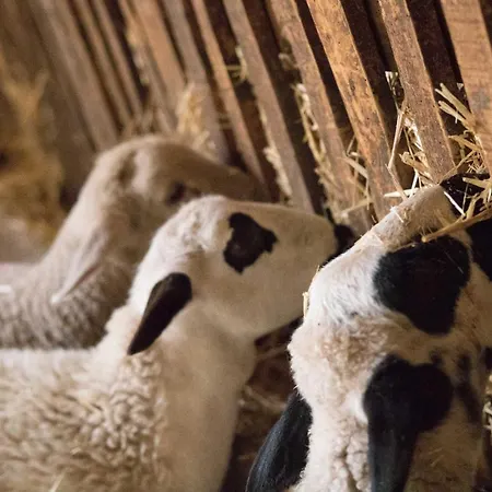 Chulilla Villarroya de los Pinares