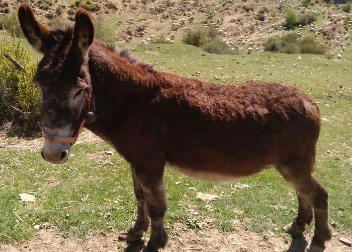 Casa rural Chulilla *