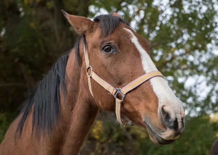 Chulilla Villarroya de los Pinares