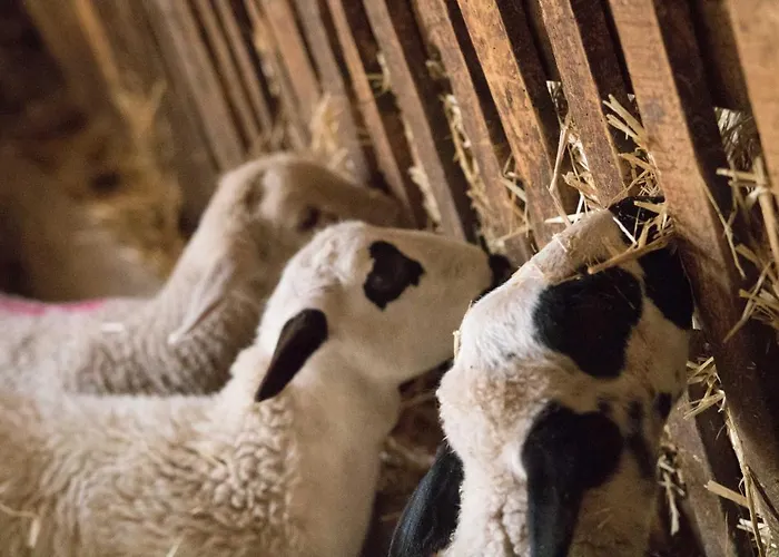 Chulilla Villarroya de los Pinares