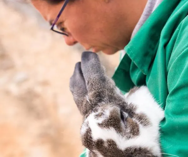 Chulilla Casa rural *